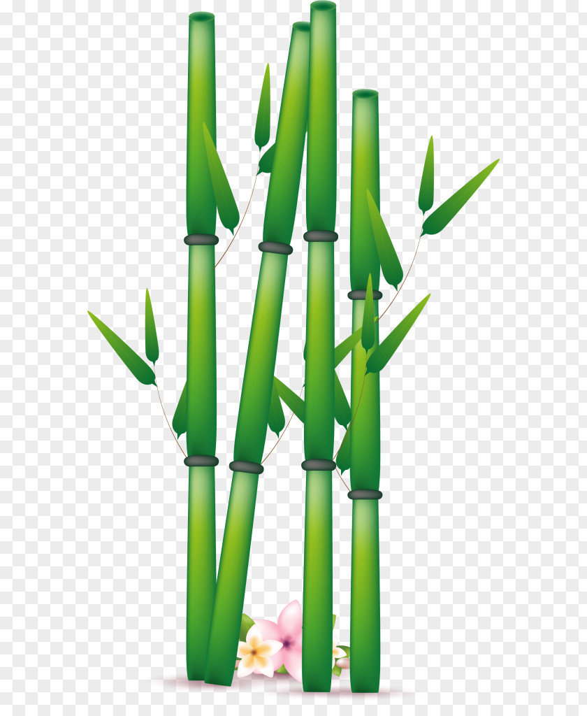 Flowerpot Grass Bamboo PNG