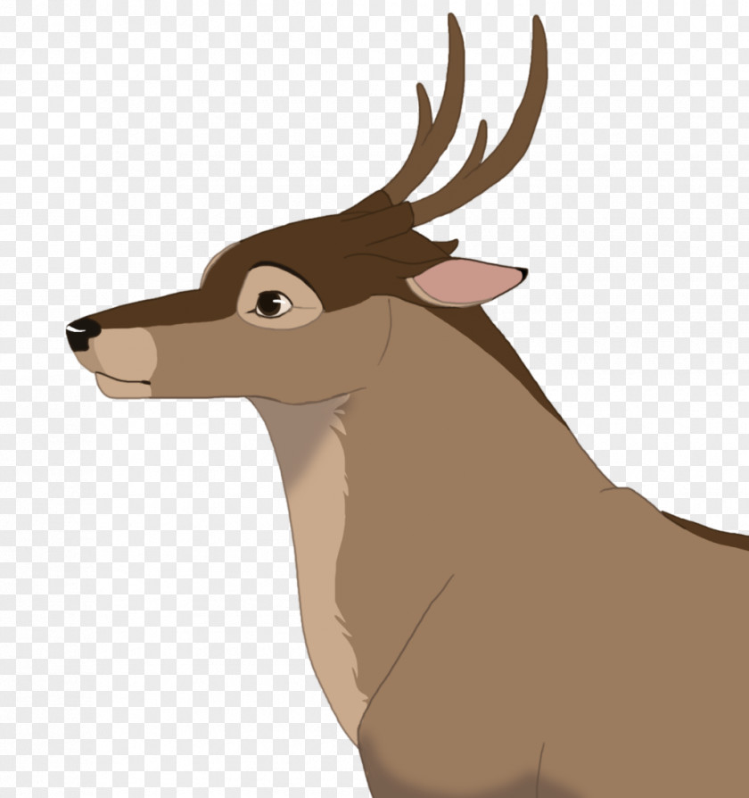 Reindeer Elk Fauna Snout Wildlife PNG