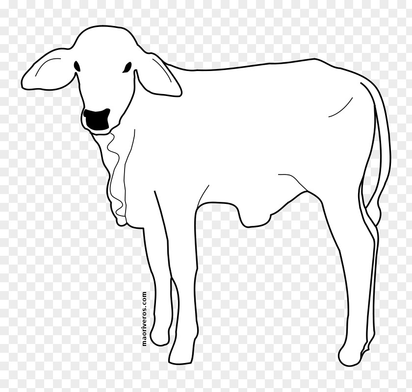 Sheep Clip Art Drawing Baka Vector Graphics PNG
