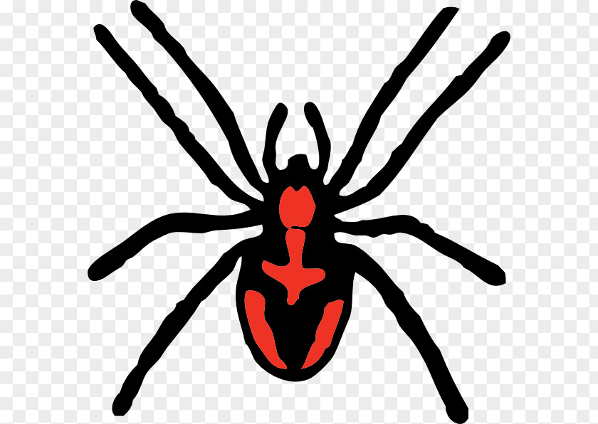 Spider Vector Itsy Bitsy Free Content Clip Art PNG