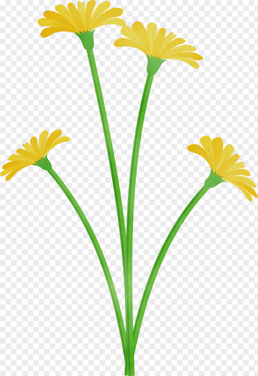 Youtube Plant Stem PNG