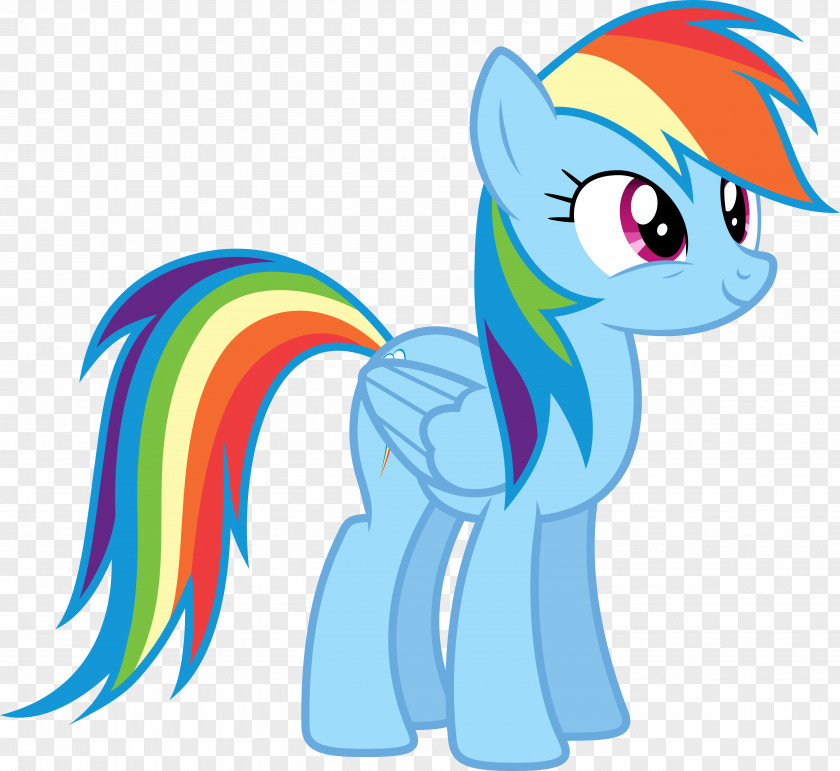 My Little Pony Rainbow Dash Twilight Sparkle Pinkie Pie Rarity PNG