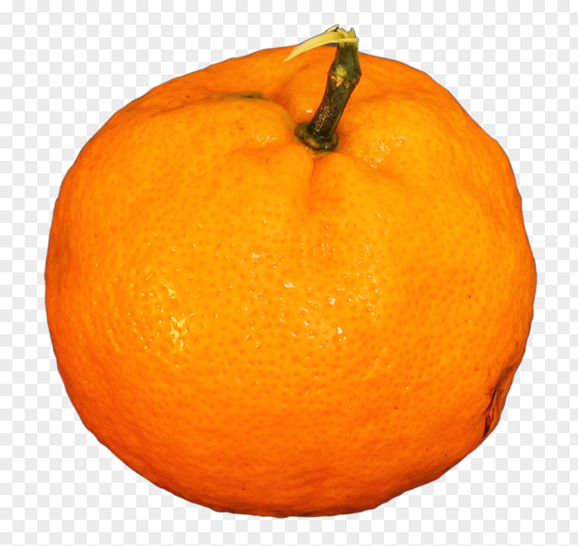 Tangerine Mandarin Orange Tangelo Citron Rangpur PNG