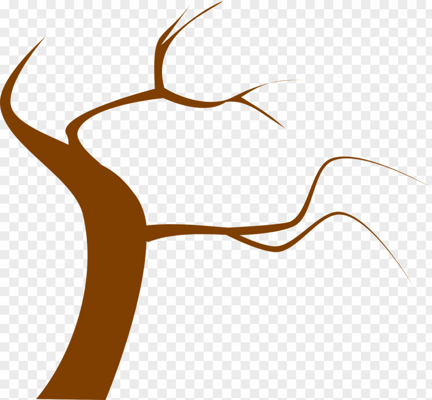 Dead Tree Drawing Oak Clip Art PNG
