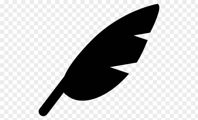 Feather Wing Quill Pens PNG