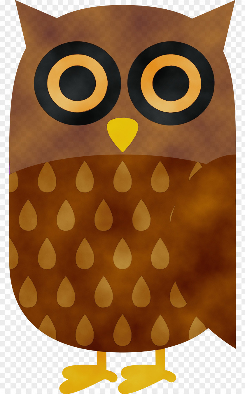 Owl M Yellow Beak PNG