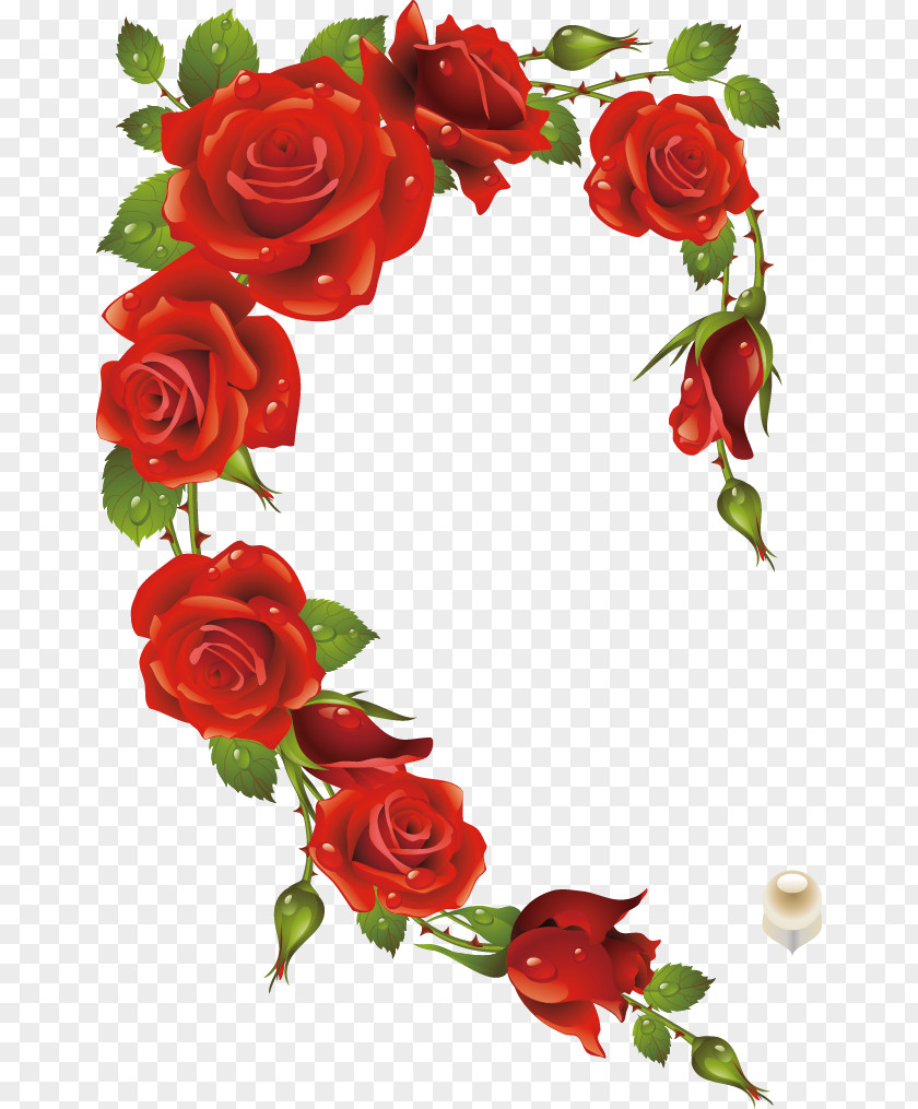 Red Rose Picture Frame Heart PNG