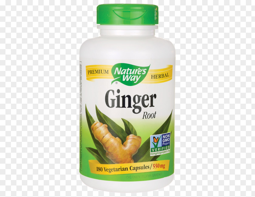 Ginger Root Dietary Supplement Food Herb PNG