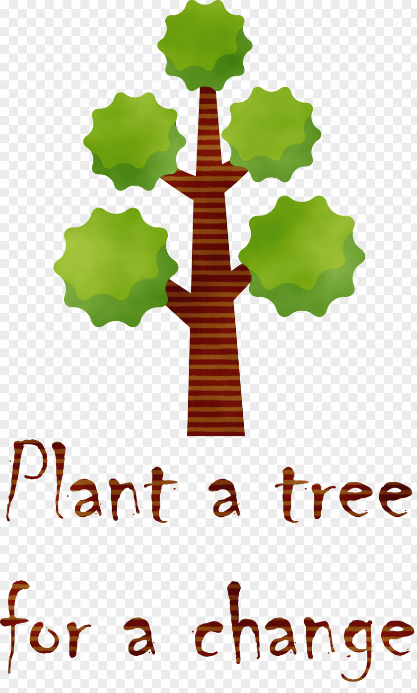 Leaf Meter Tree Botinero Biology PNG