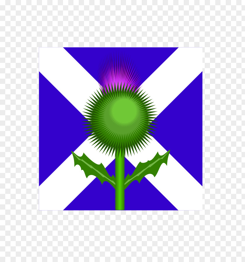 Cliparts Scotland Flag Of Thistle Clip Art PNG