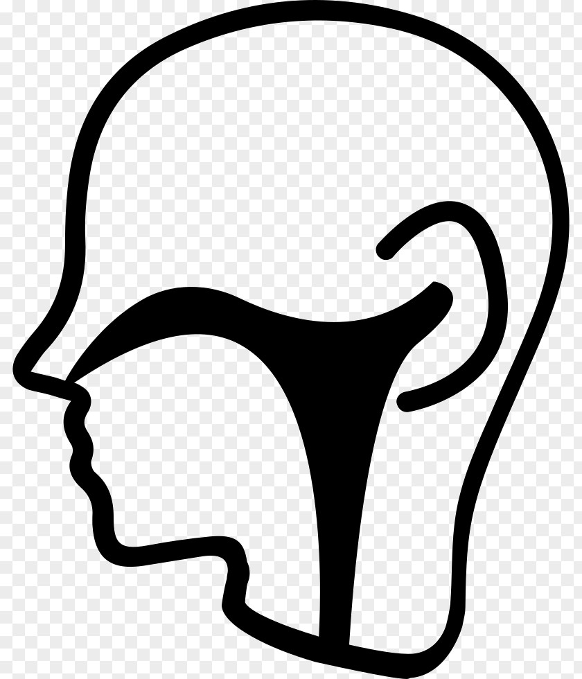 Ear Otorhinolaryngology Clip Art PNG