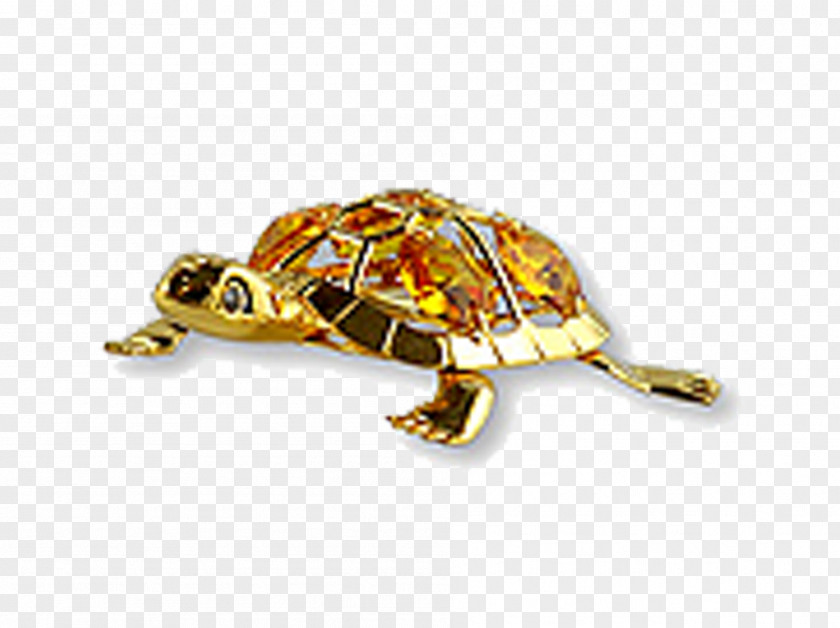 Golden Turtle Tortoise PNG