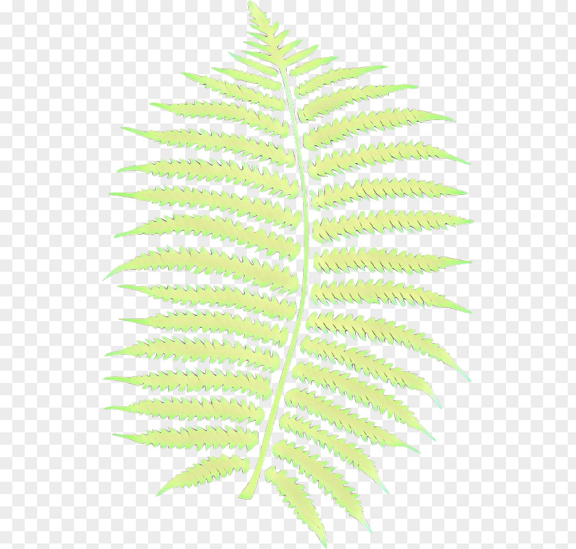 Leaf Plant Stem Line Tree Plants PNG