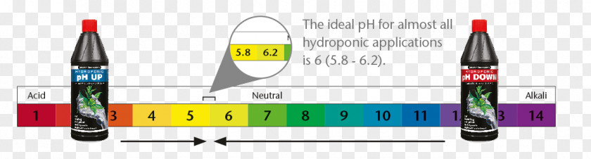 Ph Scale PH Aqueous Solution Hydroponics PNG