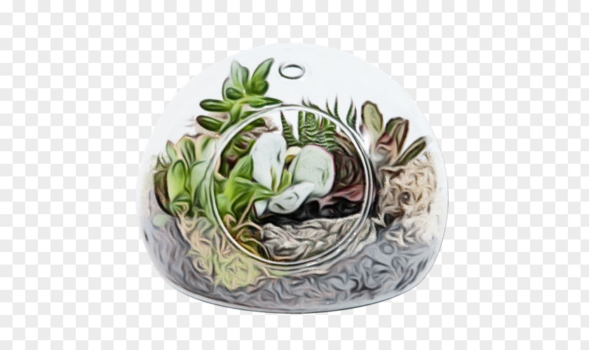 Swan Nest Bird Plant PNG