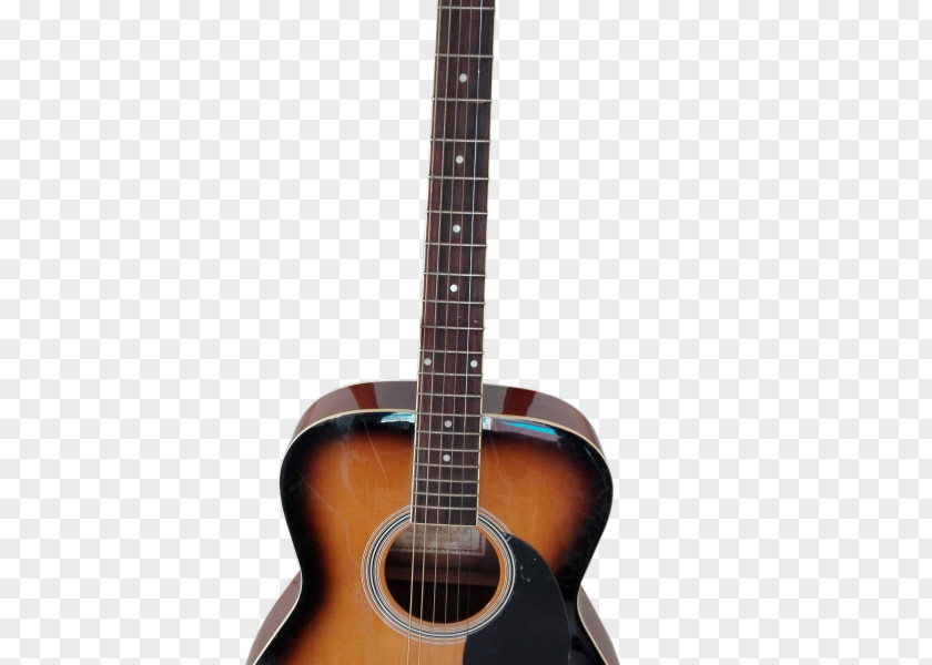 Acoustic Guitar Electric Tiple Bass Cuatro PNG