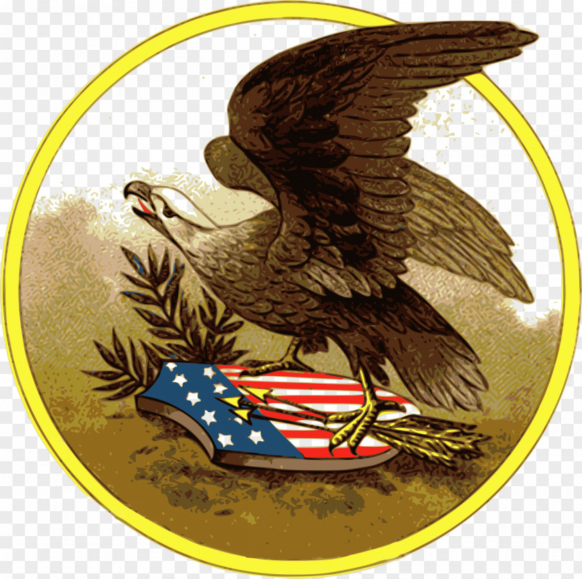 American Bald Eagle Clip Art PNG
