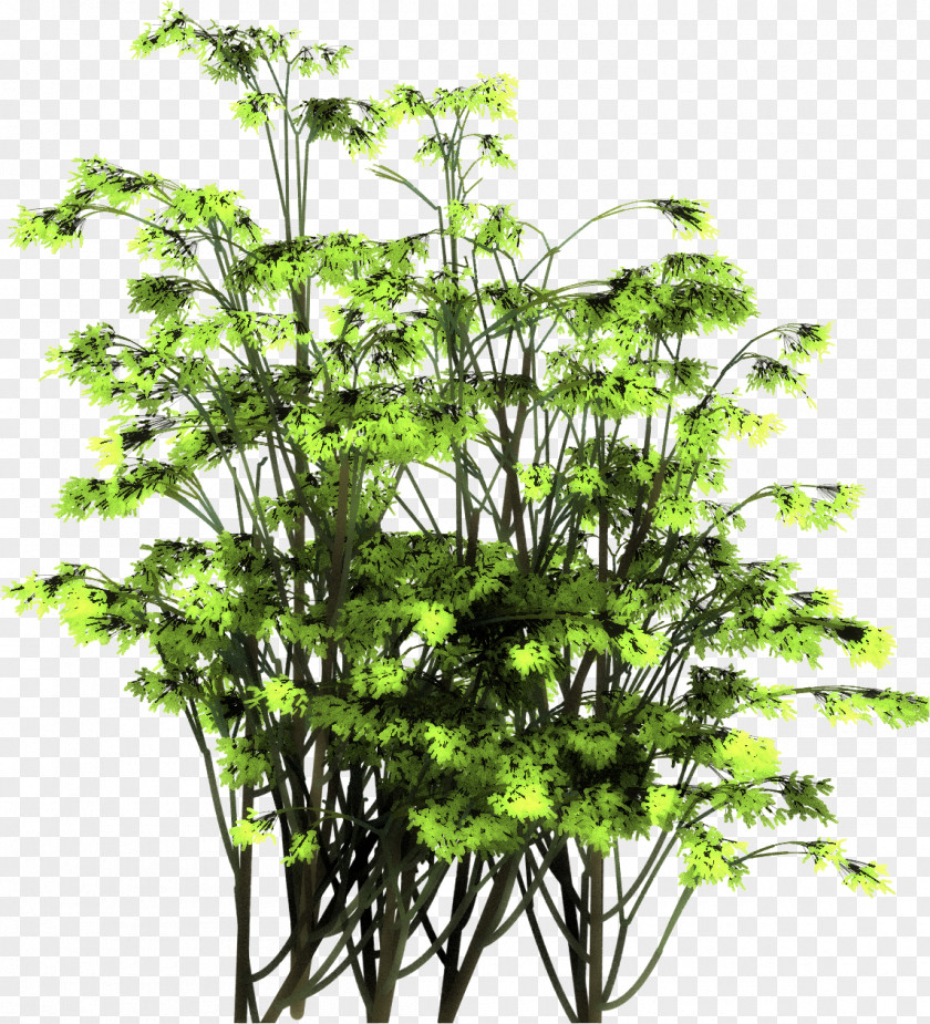 Brush Particle Project Dogwaffle Leaf Root PNG