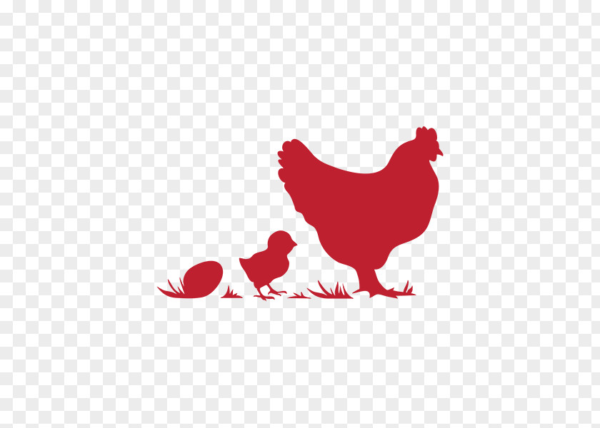 Chicken Rooster Poultry Farming Egg PNG