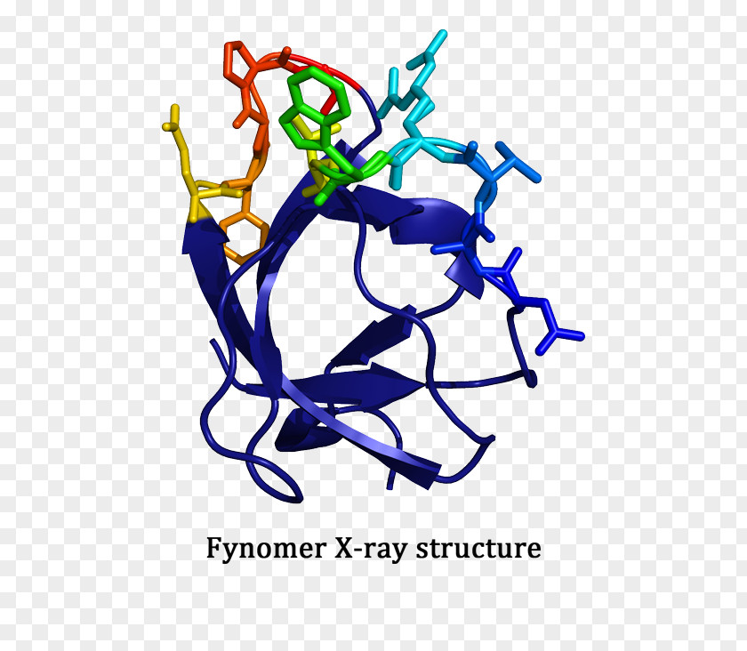 Cysteine Protease Protein Covagen AG Molecular Binding Small Molecule PNG