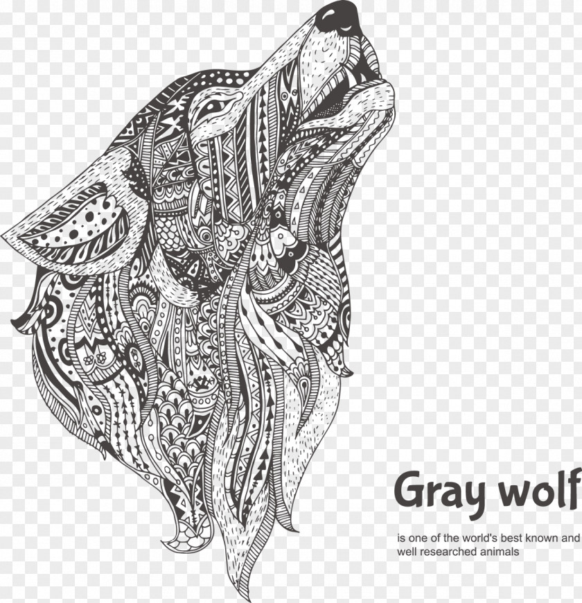 Gray Wolf Coloring Book Drawing Doodle Vector Graphics PNG