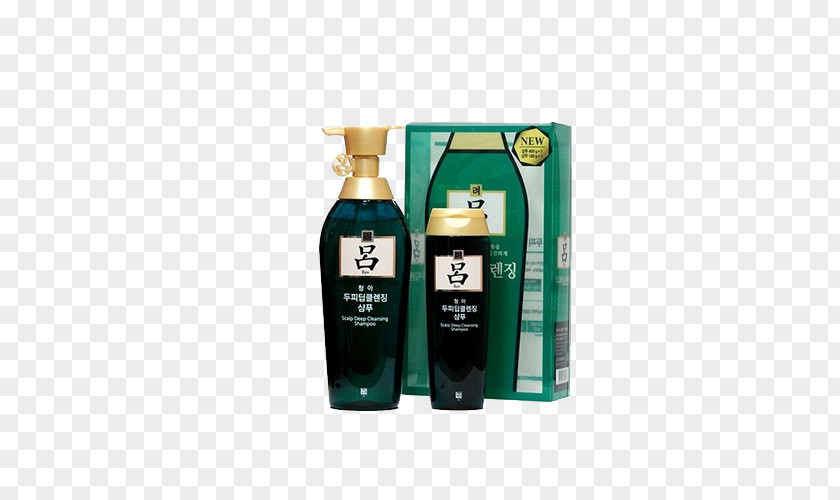 Green Shampoo Box Set Hair Conditioner Capelli Amorepacific Corporation PNG
