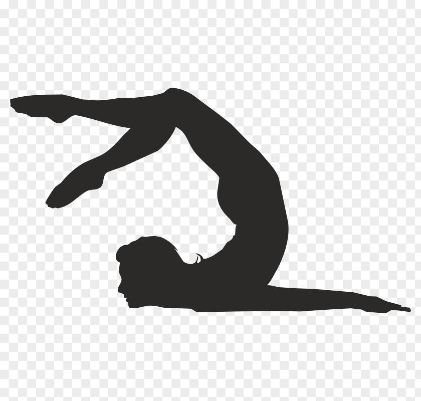 Silhouette Pilates Physical Fitness Exercise PNG