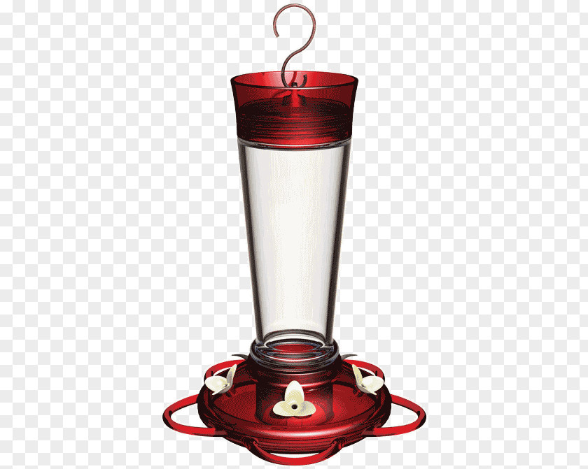 Bird Feeder Ruby-throated Hummingbird Feeders Birdwatching PNG