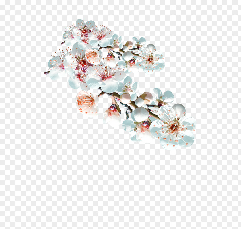 Bouquet Of Plum PNG