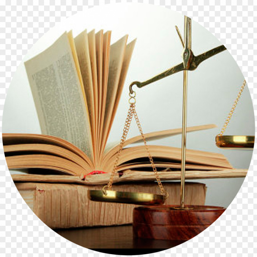 Lawyer Family Law Court Labour PNG