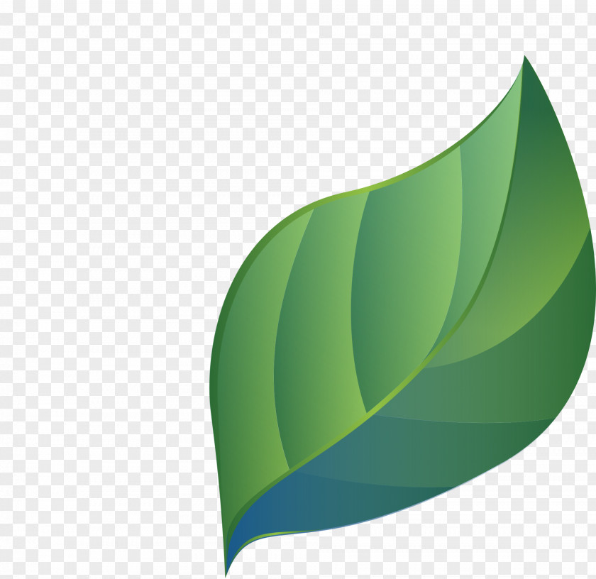 Leaf Green Vector Graphics Pixabay PNG
