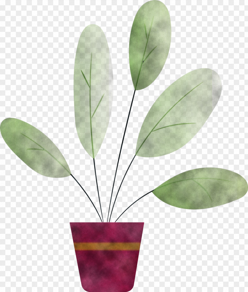 Leaf Plant Stem Plants Structure Biology PNG