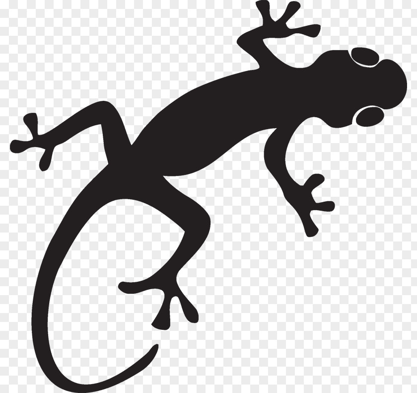 Lizard Gecko Reptile Silhouette PNG
