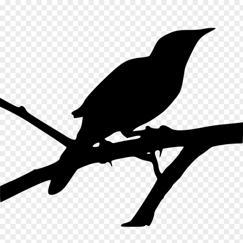 Mockingbird Clip Art Image Openclipart JPEG PNG