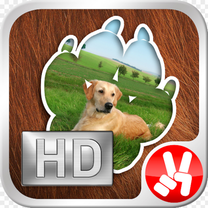 Pets Horse Dog Breed Papa Pear Saga App Store Animal PNG
