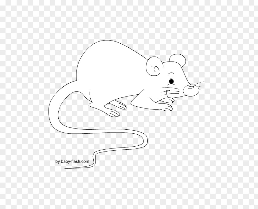 Topo Cat Rat Mouse Rodent Mammal PNG