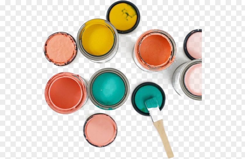 Colorful Paint Color Scheme Palette Pantone PNG