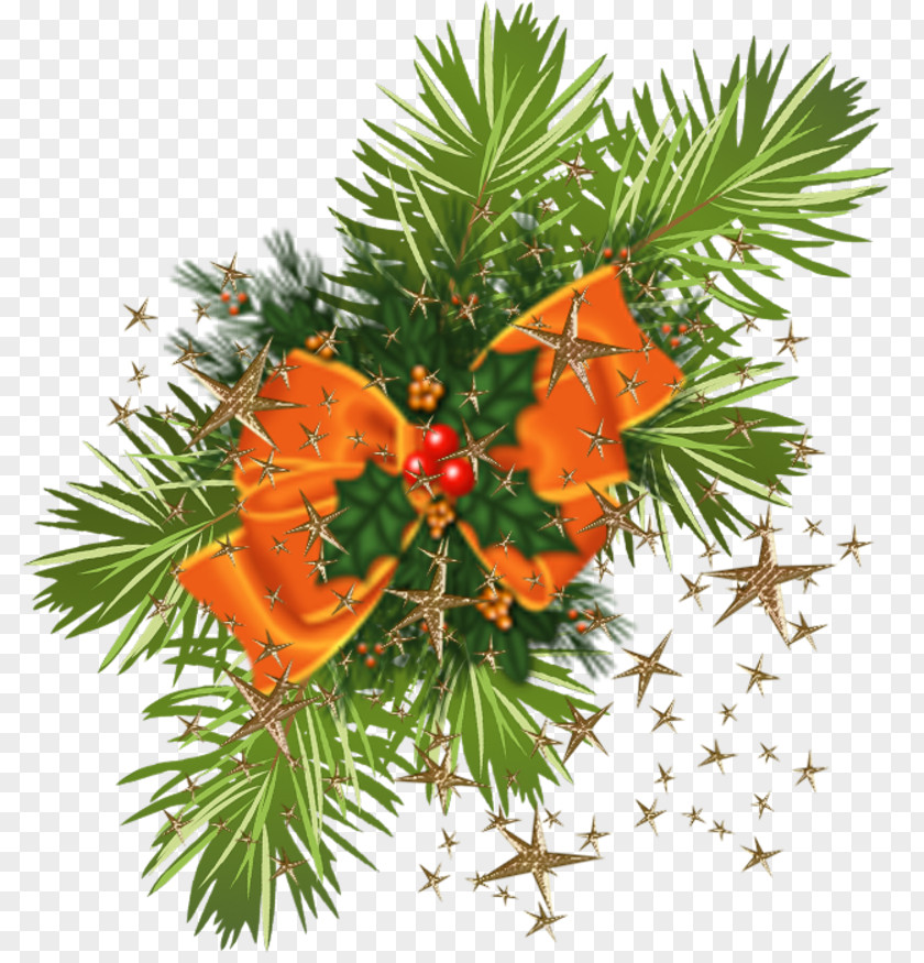 Flower Floral Design Christmas Ornament English Yew PNG