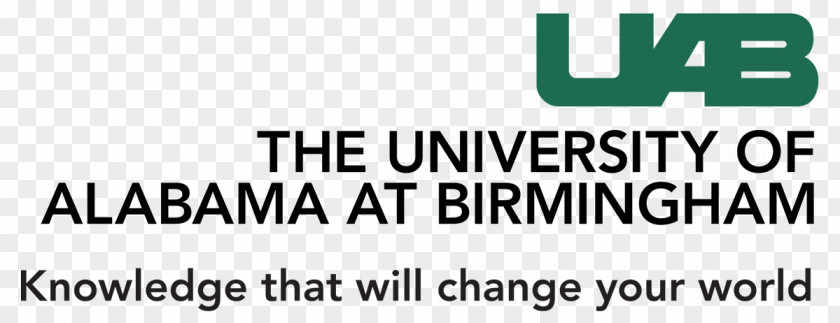 University Of Alabama At Birmingham College Arts And Sciences Professor PNG