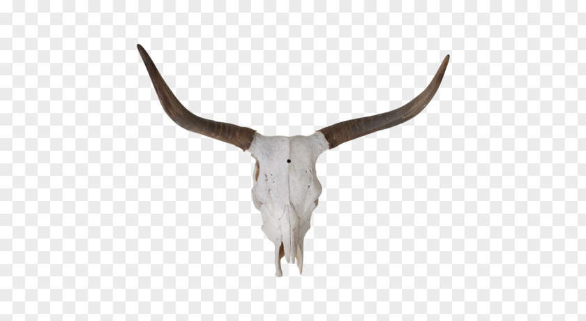 Goat Texas Longhorn English Fleckvieh Zebu PNG
