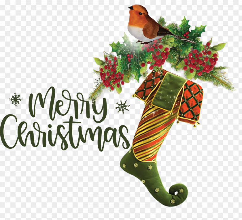 Merry Christmas Day Xmas PNG