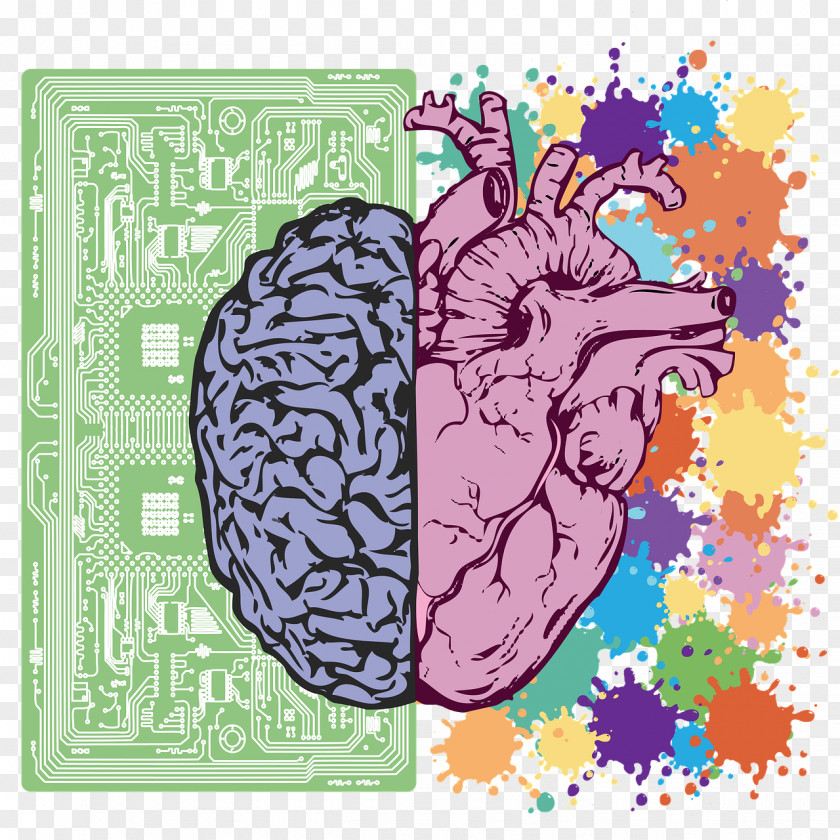 On The Brain Neuroscience Anatomy Heart Bias PNG