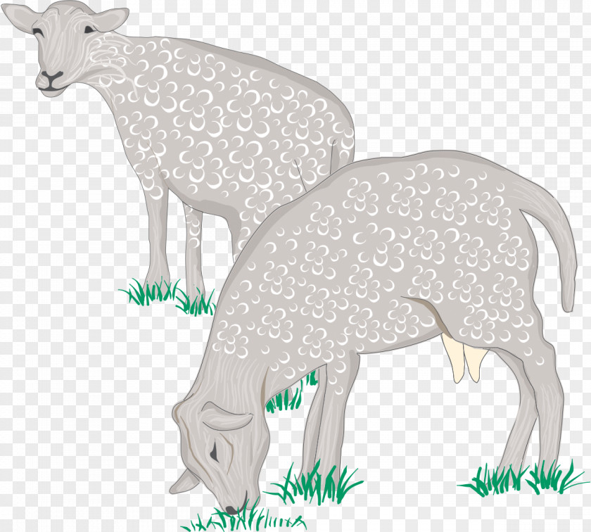 Sheep Milk Cattle Goat Anatomy PNG