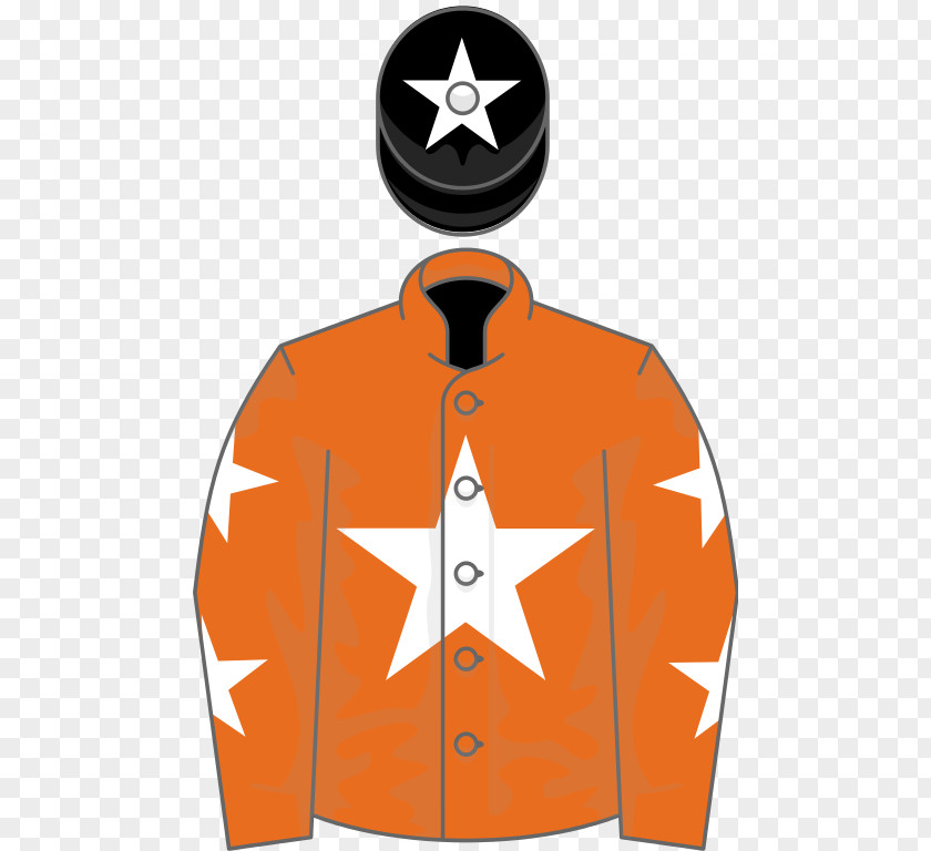 Star Alliance 2018 Grand National 2016 Aintree Racecourse Irish Horse Racing PNG