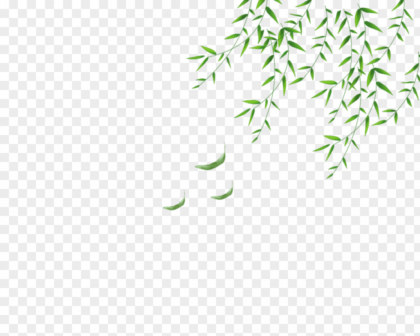 The Willow Leaves Sway In Wind Leaf Computer File PNG
