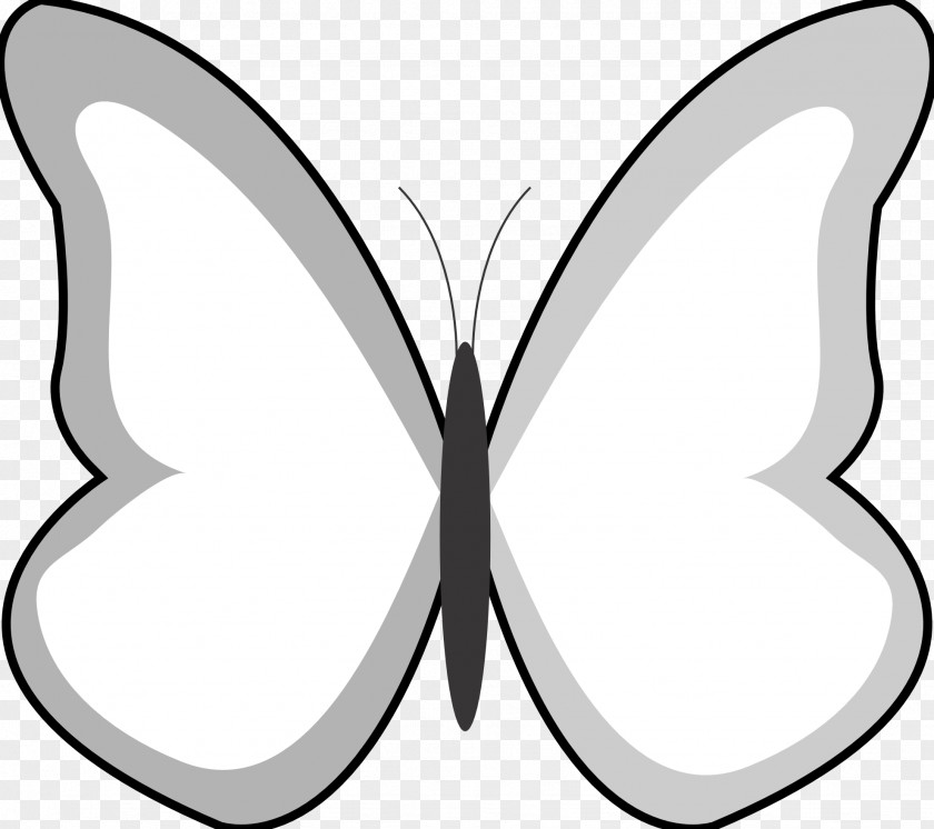 Butterflies Line Art Black And White Clip PNG