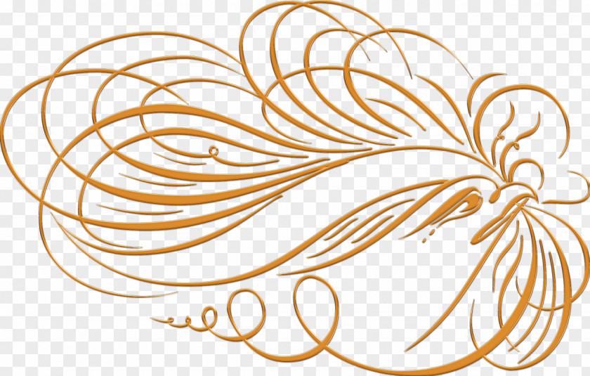 Calligraphy Photography Clip Art PNG