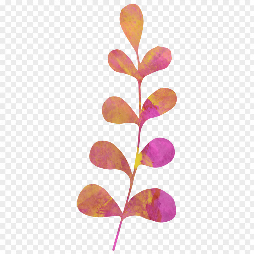 Drawing Plant Vector Pattern Watercolor Painting PNG