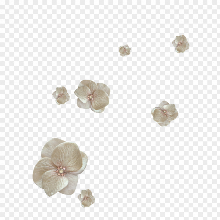 Elements Flower Jewellery Clip Art PNG