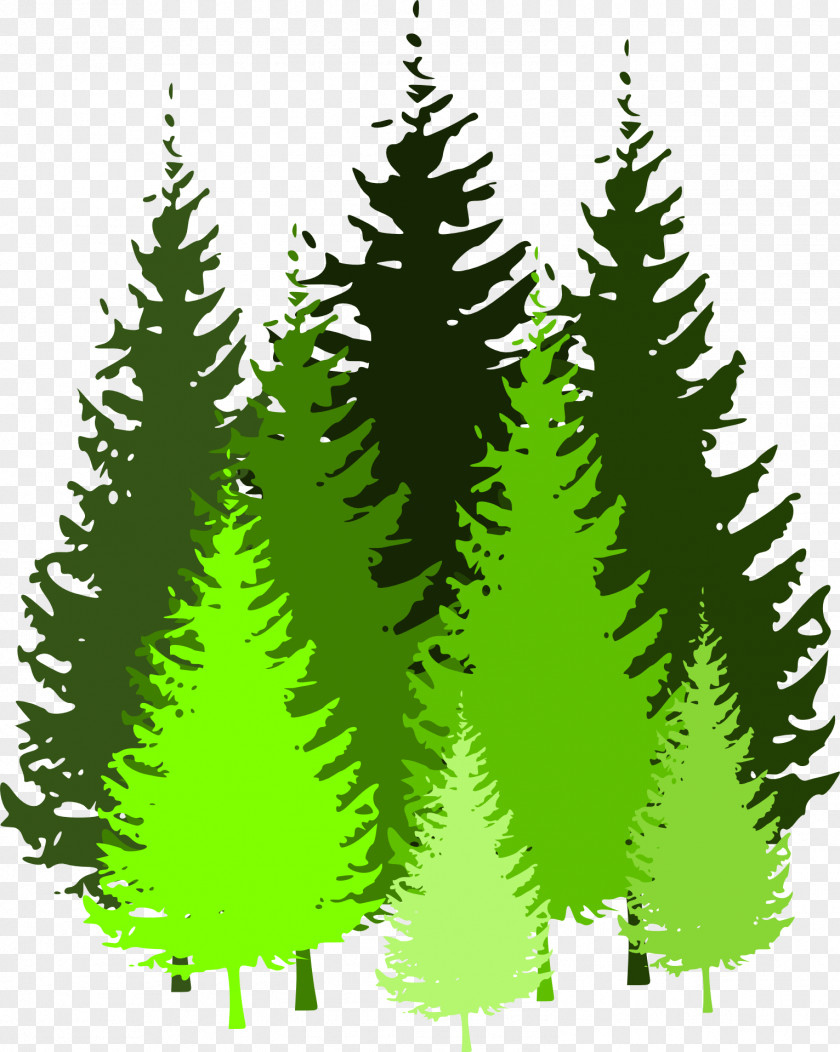 Fir-tree Forest Pine Clip Art PNG